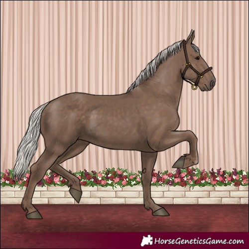Horse Color:Silver Black 