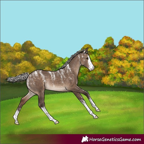 Horse Color:Powder White White Spotted Silver Brown Dun Rabicano 