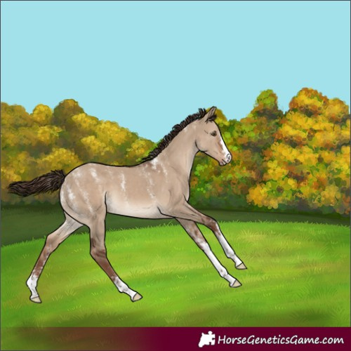 Horse Color:Powder White Liver Red Dun 
