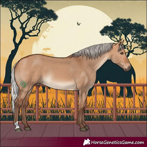 Horse Color:Silver Bay Dun 
