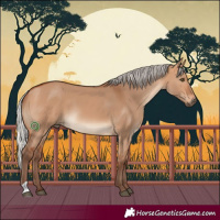 Horse Color:Silver Bay Dun