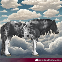 Horse Color:Black Tobiano 