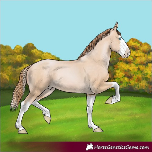 Horse Color:White Spotted Buckskin Pearl Splash 