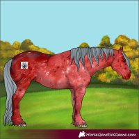 Horse Color:ERROR: UNKNOWN ANOMALY