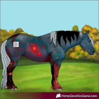 Horse Color:ERROR: UNKNOWN ANOMALY