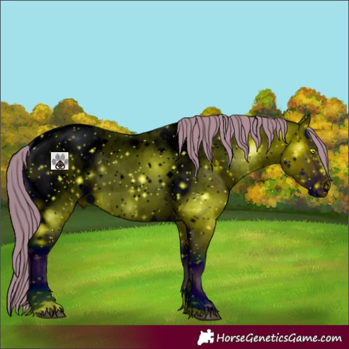 Horse Color:ERROR: UNKNOWN ANOMALY