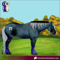 Horse Color:ERROR: UNKNOWN ANOMALY
