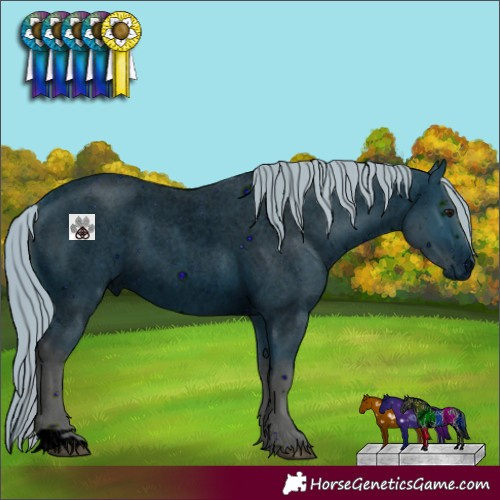Horse Color:ERROR: UNKNOWN ANOMALY