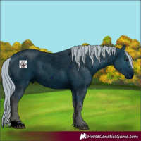 Horse Color:ERROR: UNKNOWN ANOMALY