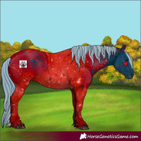 Horse Color:ERROR: UNKNOWN ANOMALY