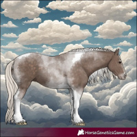 Horse Color:Silver Black Tobiano 