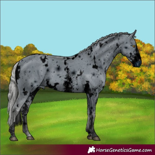 Horse Color:ERROR: UNKNOWN ANOMALY