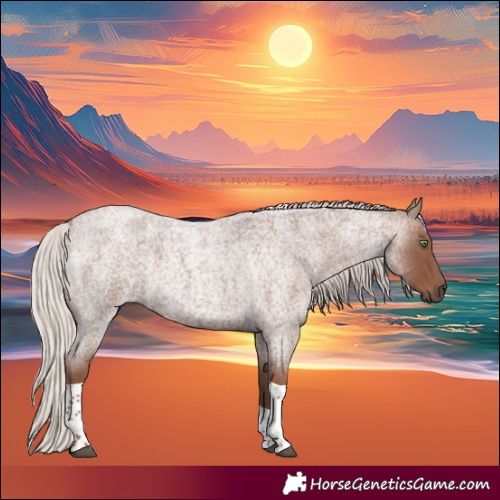 Horse Color:Silver Blue Roan Tobiano