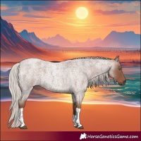 Horse Color:Silver Blue Roan Tobiano 