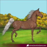Horse Color:Silver Black 
