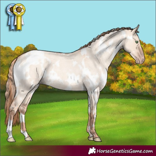 Horse Color:White Spotted Gold Champagne Roan Dun 