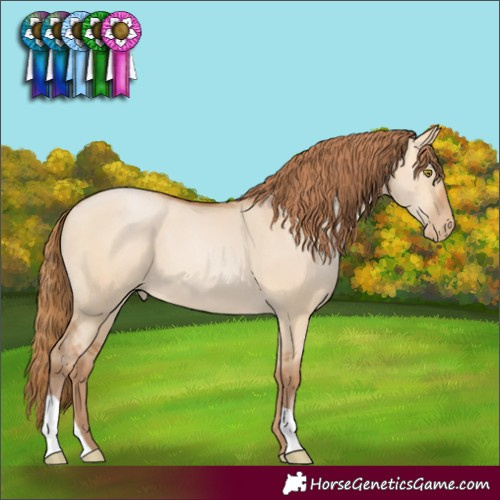 Horse Color:Bay Pearl Dun 
