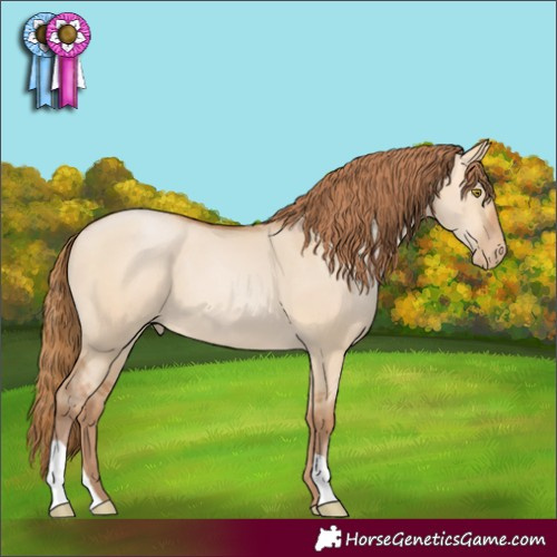Horse Color:Bay Pearl Dun 