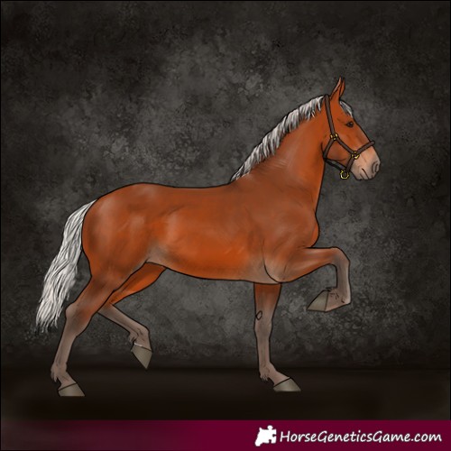 Horse Color:Silver Bay 