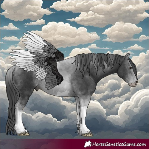 Horse Color:Black Tobiano 