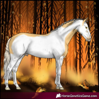 Horse Color:Palomino Splash Frame