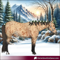 Horse Color:Bay and Buckskin