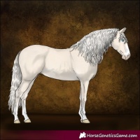 Horse Color:Cremello