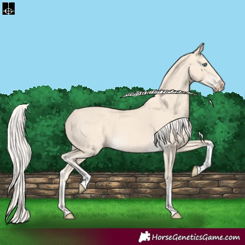 Horse Color:Cremello Tobiano 