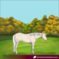 Horse Color:Silver Perlino Tobiano