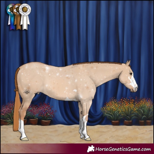 Horse Color:Red Dun 