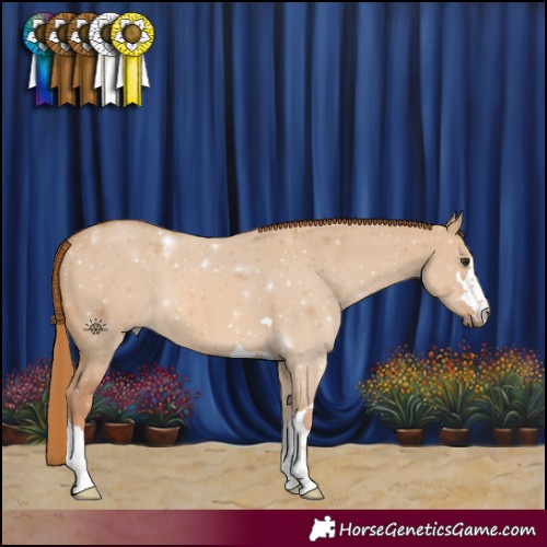 Horse Color:Red Dun 