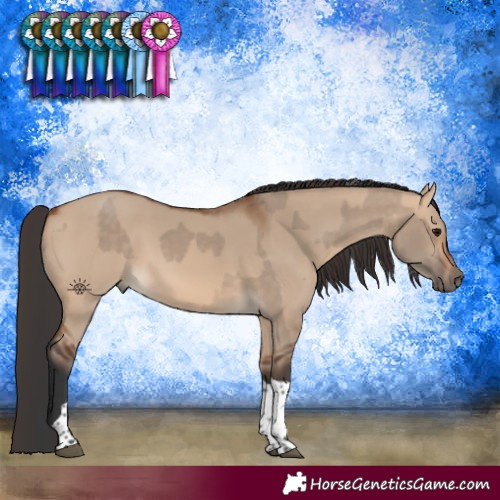 Horse Color:Bay Dun Tobiano  and Bay Dun Tobiano 