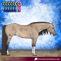 Horse Color:Bay Dun Tobiano  and Bay Dun Tobiano 
