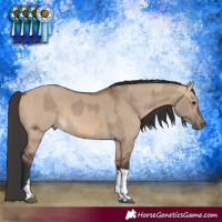 Horse Color:Bay Dun Tobiano  and Bay Dun Tobiano 