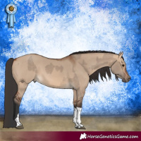 Horse Color:Bay Dun Tobiano  and Bay Dun Tobiano 