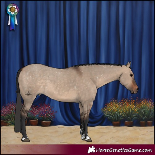 Horse Color:Brown Dun 