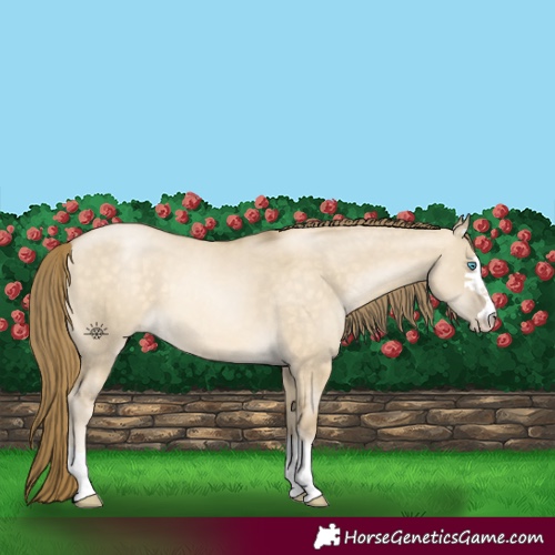 Horse Color:Buckskin Pearl Dun