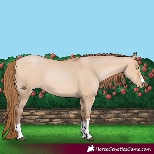 Horse Color:Brown Pearl Dun 