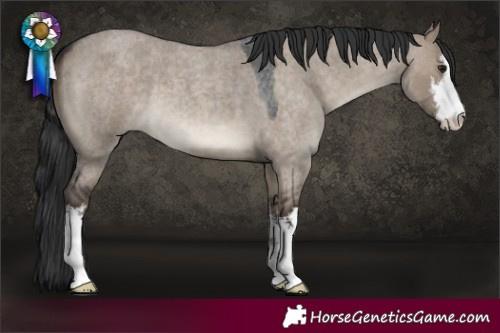 Horse Color:White Spotted Brown Roan Dun 
