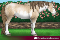 Horse Color:White Spotted Brown Snowdrop Pearl 