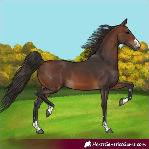 Horse Color:Brown 