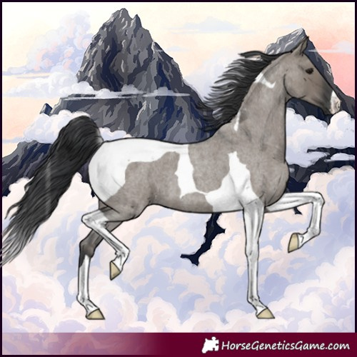 Horse Color:Grullo Roan Tobiano 