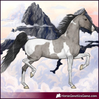 Horse Color:Grullo Roan Tobiano 