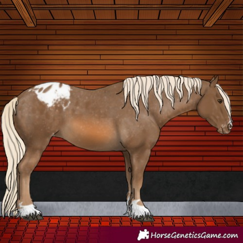 Horse Color:Chocolate Palomino Varnish 
