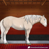 Horse Color:Cremello 