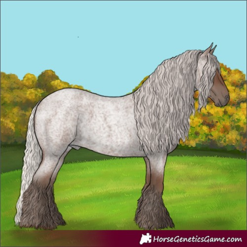 Horse Color:Silver Blue Roan 