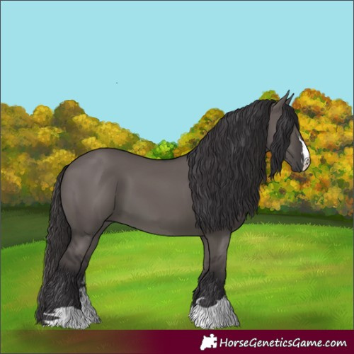 Horse Color:Smoky Grullo