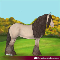 Horse Color:Amber Champagne Dun