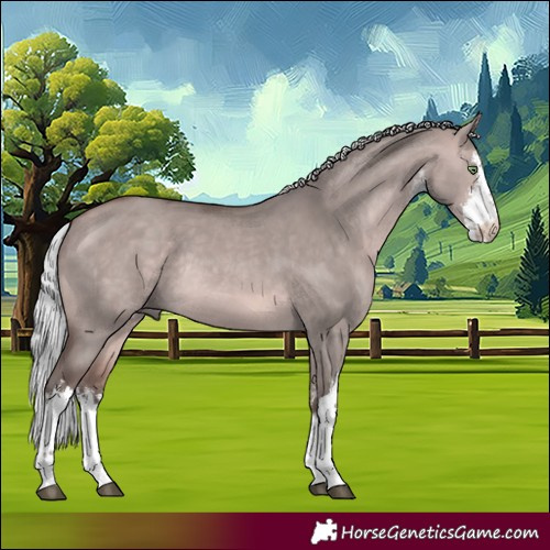 Horse Color:Platinum White Spotted Silver Bay Dun Rabicano 