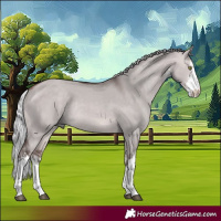 Horse Color:Platinum White Spotted Silver Bay Dun Rabicano